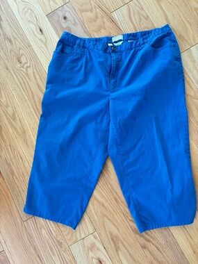 Talbots Bright Blue Stretch Capri Pants